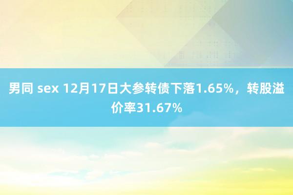 男同 sex 12月17日大参转债下落1.65%，转股溢价率31.67%