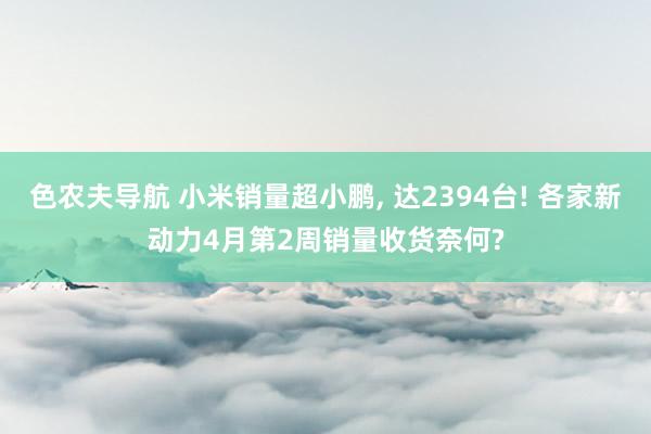 色农夫导航 小米销量超小鹏， 达2394台! 各家新动力4月第2周销量收货奈何?