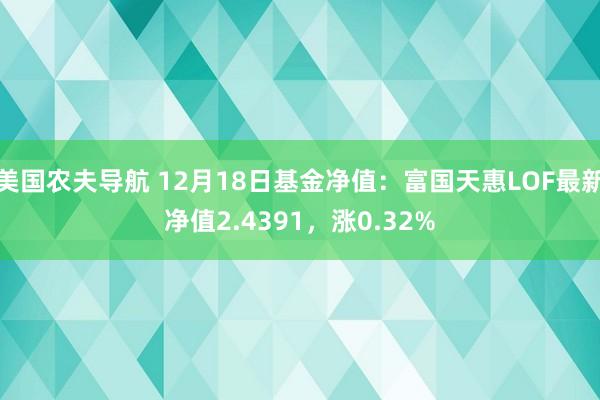 美国农夫导航 12月18日基金净值：富国天惠LOF最新净值2.4391，涨0.32%