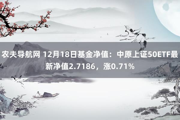 农夫导航网 12月18日基金净值：中原上证50ETF最新净值2.7186，涨0.71%