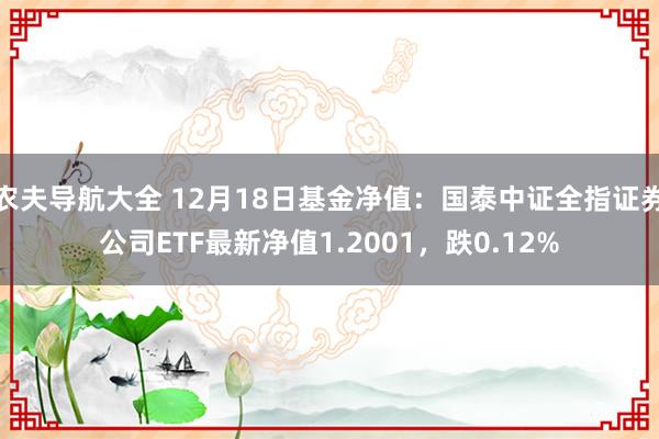 农夫导航大全 12月18日基金净值：国泰中证全指证券公司ETF最新净值1.2001，跌0.12%