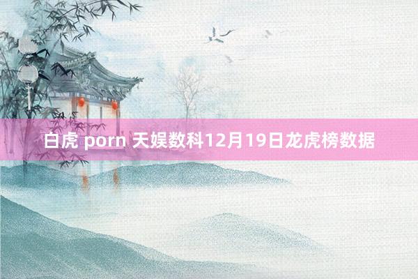 白虎 porn 天娱数科12月19日龙虎榜数据