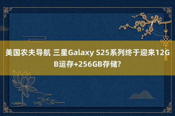 美国农夫导航 三星Galaxy S25系列终于迎来12GB运存+256GB存储?