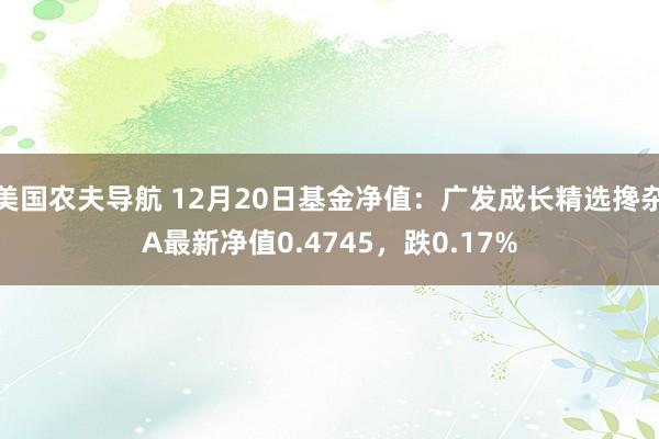 美国农夫导航 12月20日基金净值：广发成长精选搀杂A最新净值0.4745，跌0.17%