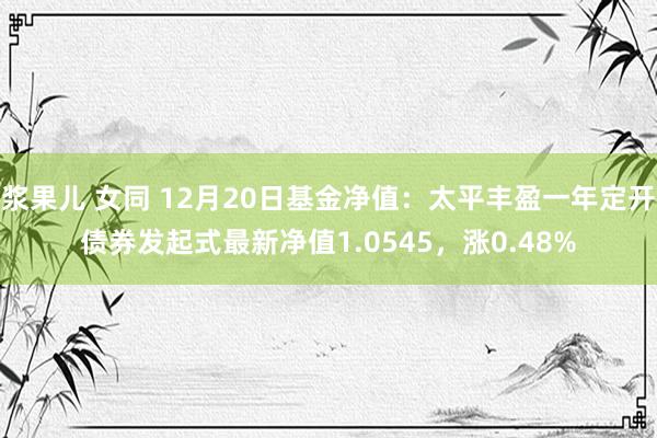 浆果儿 女同 12月20日基金净值：太平丰盈一年定开债券发起式最新净值1.0545，涨0.48%