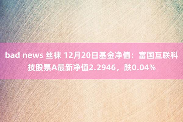 bad news 丝袜 12月20日基金净值：富国互联科技股票A最新净值2.2946，跌0.04%