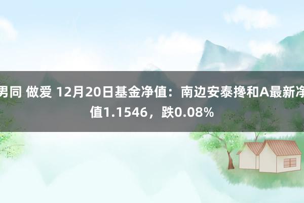 男同 做爱 12月20日基金净值：南边安泰搀和A最新净值1.1546，跌0.08%