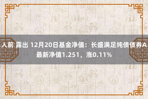 人前 露出 12月20日基金净值：长盛满足纯债债券A最新净值1.251，涨0.11%