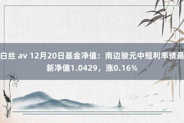 白丝 av 12月20日基金净值：南边骏元中短利率债最新净值1.0429，涨0.16%