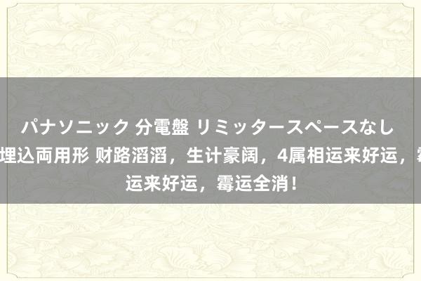 パナソニック 分電盤 リミッタースペースなし 露出・半埋込両用形 财路滔滔，生计豪阔，4属相运来好运，霉运全消！