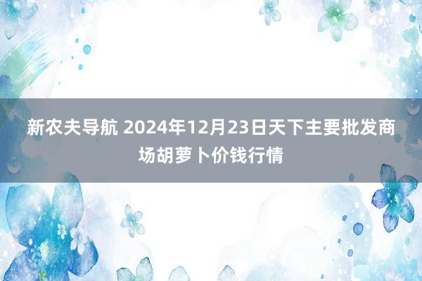 新农夫导航 2024年12月23日天下主要批发商场胡萝卜价钱行情