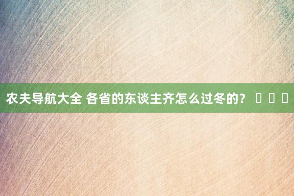 农夫导航大全 各省的东谈主齐怎么过冬的？ ​​​