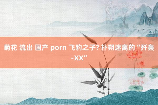 菊花 流出 国产 porn 飞豹之子? 扑朔迷离的“歼轰-XX”