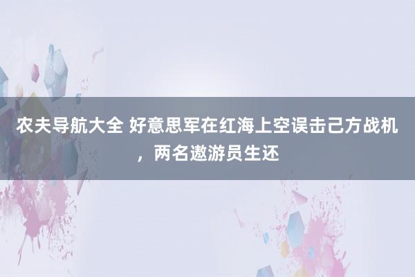 农夫导航大全 好意思军在红海上空误击己方战机，两名遨游员生还