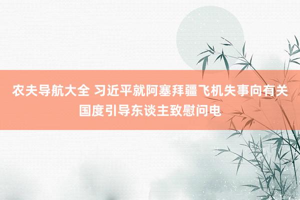 农夫导航大全 习近平就阿塞拜疆飞机失事向有关国度引导东谈主致慰问电