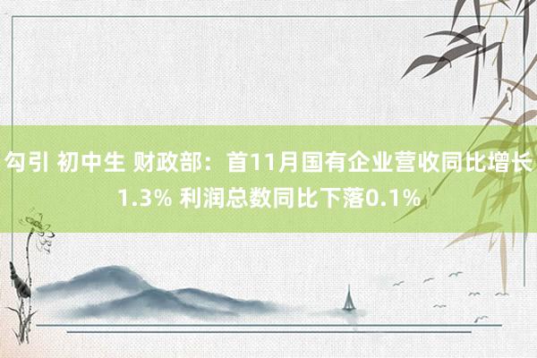 勾引 初中生 财政部：首11月国有企业营收同比增长1.3% 利润总数同比下落0.1%