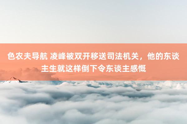 色农夫导航 凌峰被双开移送司法机关，他的东谈主生就这样倒下令东谈主感慨