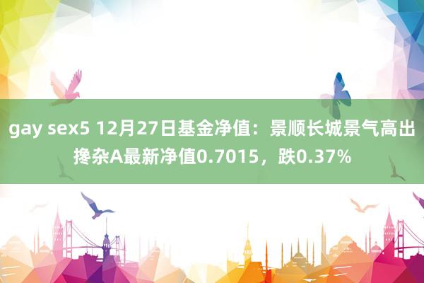 gay sex5 12月27日基金净值：景顺长城景气高出搀杂A最新净值0.7015，跌0.37%