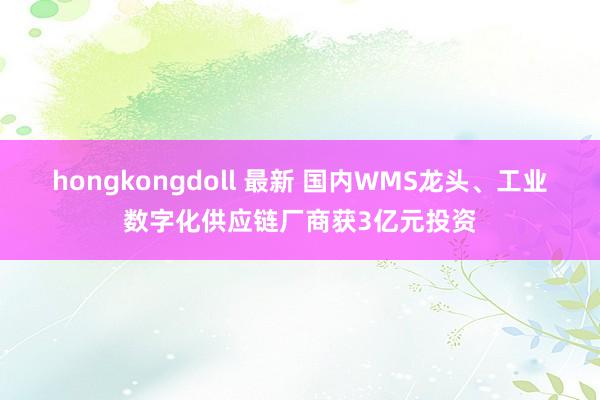 hongkongdoll 最新 国内WMS龙头、工业数字化供应链厂商获3亿元投资