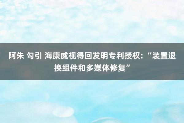 阿朱 勾引 海康威视得回发明专利授权: “装置退换组件和多媒体修复”