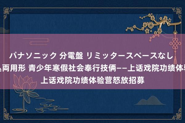 パナソニック 分電盤 リミッタースペースなし 露出・半埋込両用形 青少年寒假社会奉行技俩——上话戏院功绩体验营怒放招募