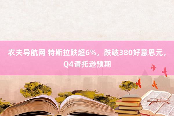 农夫导航网 特斯拉跌超6%，跌破380好意思元，Q4请托逊预期