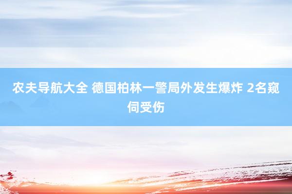 农夫导航大全 德国柏林一警局外发生爆炸 2名窥伺受伤