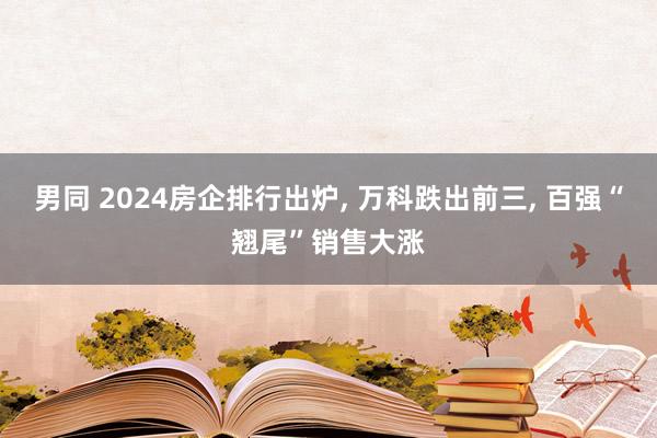 男同 2024房企排行出炉， 万科跌出前三， 百强“翘尾”销售大涨