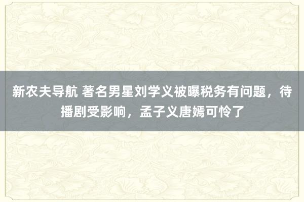 新农夫导航 著名男星刘学义被曝税务有问题，待播剧受影响，孟子义唐嫣可怜了