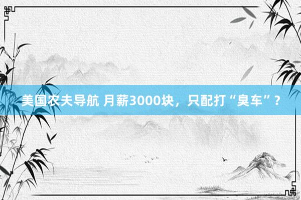 美国农夫导航 月薪3000块，只配打“臭车”？