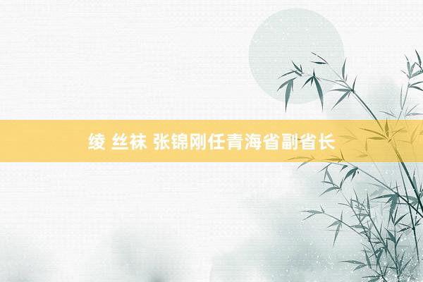 绫 丝袜 张锦刚任青海省副省长