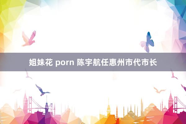 姐妹花 porn 陈宇航任惠州市代市长