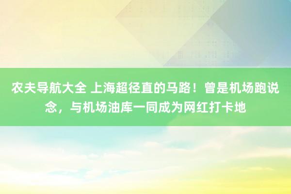 农夫导航大全 上海超径直的马路！曾是机场跑说念，与机场油库一同成为网红打卡地