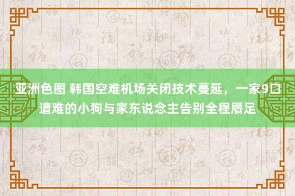 亚洲色图 韩国空难机场关闭技术蔓延，一家9口遭难的小狗与家东说念主告别全程餍足