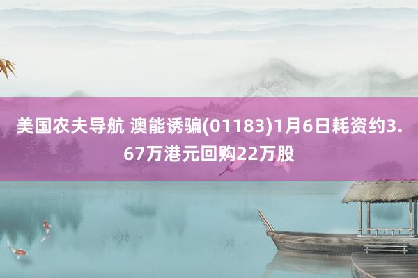 美国农夫导航 澳能诱骗(01183)1月6日耗资约3.67万港元回购22万股