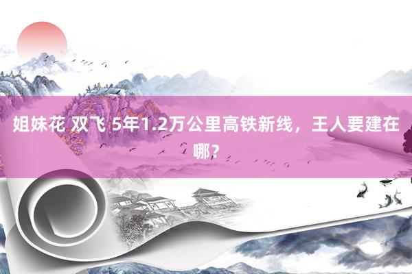 姐妹花 双飞 5年1.2万公里高铁新线，王人要建在哪？