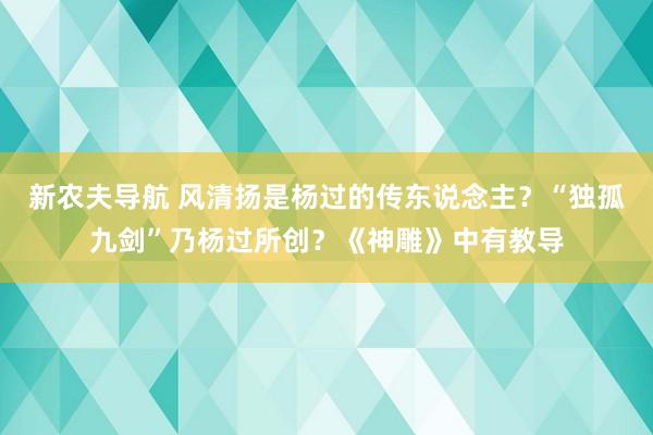 新农夫导航 风清扬是杨过的传东说念主？“独孤九剑”乃杨过所创？《神雕》中有教导