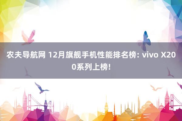 农夫导航网 12月旗舰手机性能排名榜: vivo X200系列上榜!