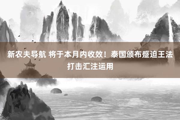 新农夫导航 将于本月内收效！泰国颁布蹙迫王法打击汇注运用