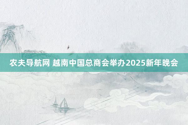 农夫导航网 越南中国总商会举办2025新年晚会