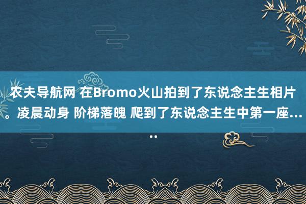 农夫导航网 在Bromo火山拍到了东说念主生相片。凌晨动身 阶梯落魄 爬到了东说念主生中第一座...