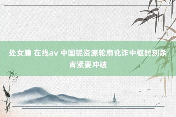 处女膜 在线av 中国铌资源轮廓讹诈中枢时刻杀青紧要冲破