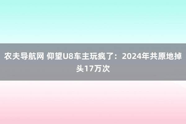 农夫导航网 仰望U8车主玩疯了：2024年共原地掉头17万次