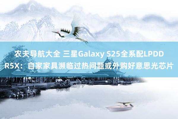 农夫导航大全 三星Galaxy S25全系配LPDDR5X：自家家具濒临过热问题或外购好意思光芯片