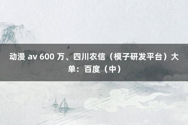 动漫 av 600 万、四川农信（模子研发平台）大单：百度（中）