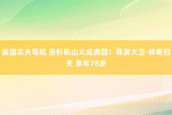 美国农夫导航 洛杉矶山火成诱因！导演大卫·林奇归天 享年78岁